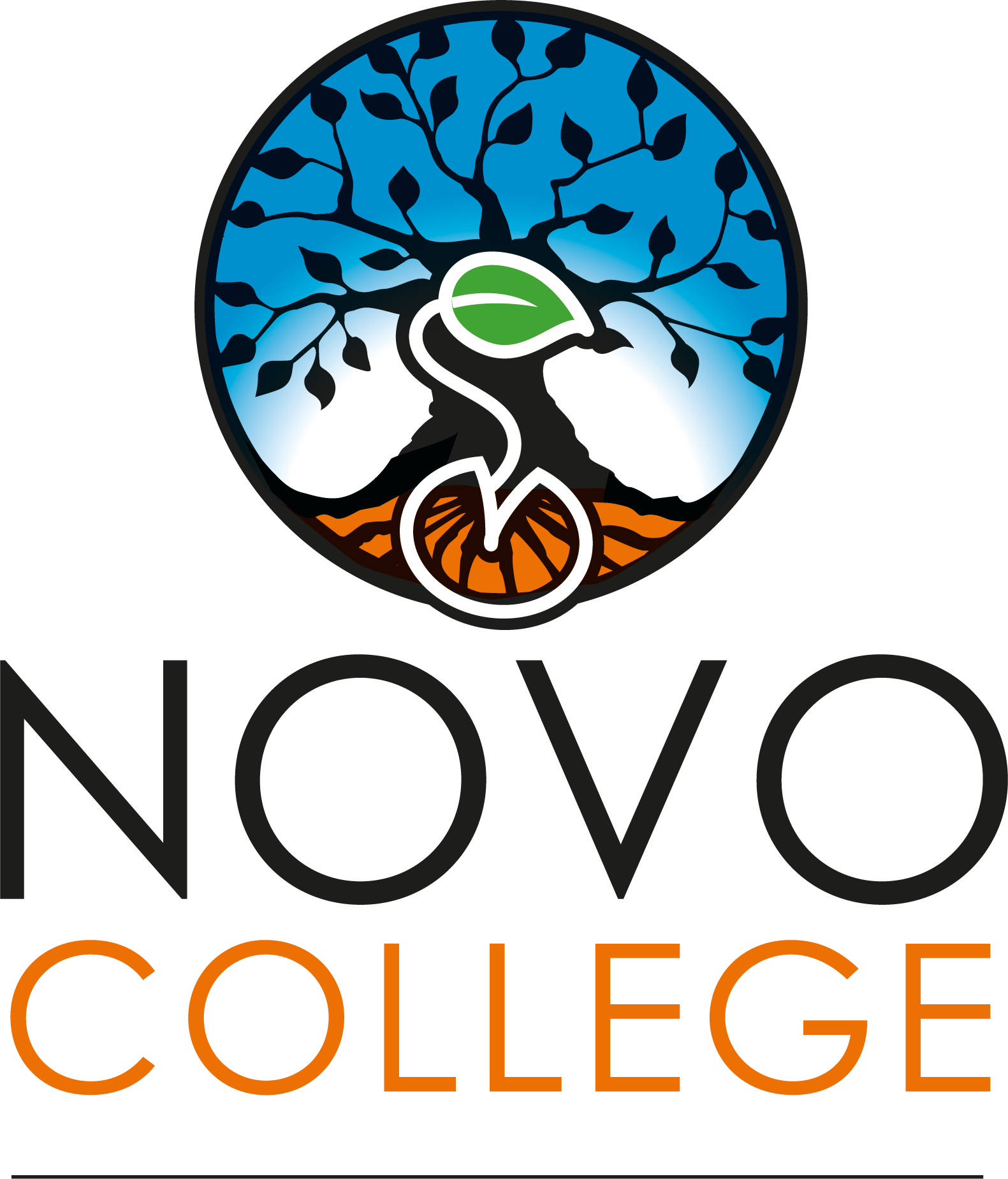 Logovariant Novo College