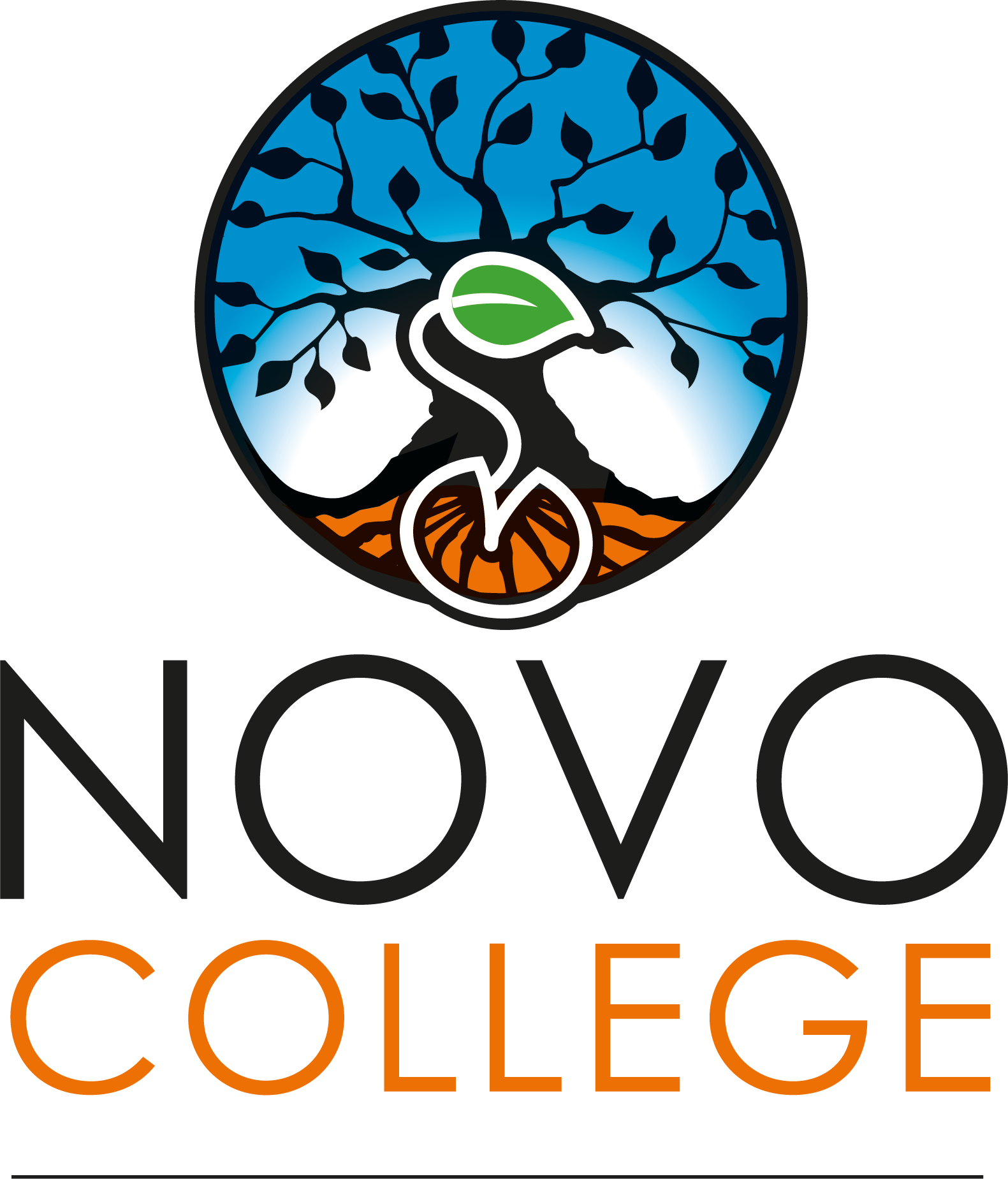 Logo Novo College