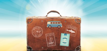 Stux Luggage 1149289