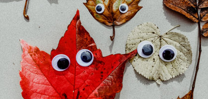 Herfst Knutsel Blaadjes Googly Eyes Scaled