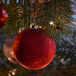 Neelam279 Christmas Tree 6870755