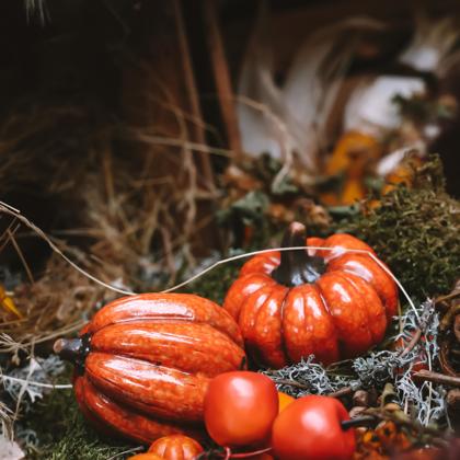 Xsimb Pumpkins 6771028